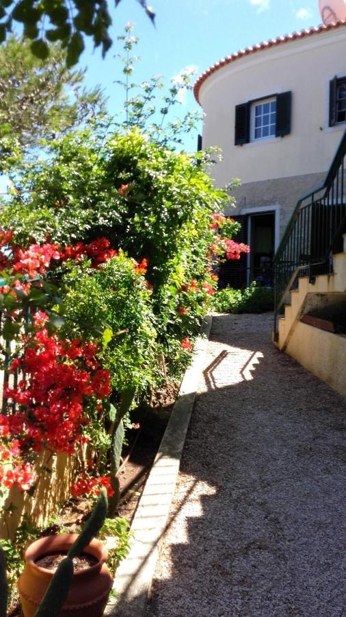 Amazigh Guincho Hostel & Suites 카스카이스 외부 사진